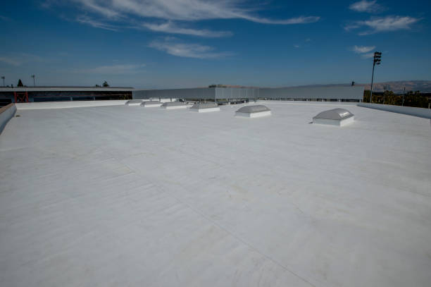 Best Rubber Roofing (EPDM, TPO)  in Fortville, IN